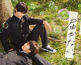 宝鸡网站seo关键词排名优化